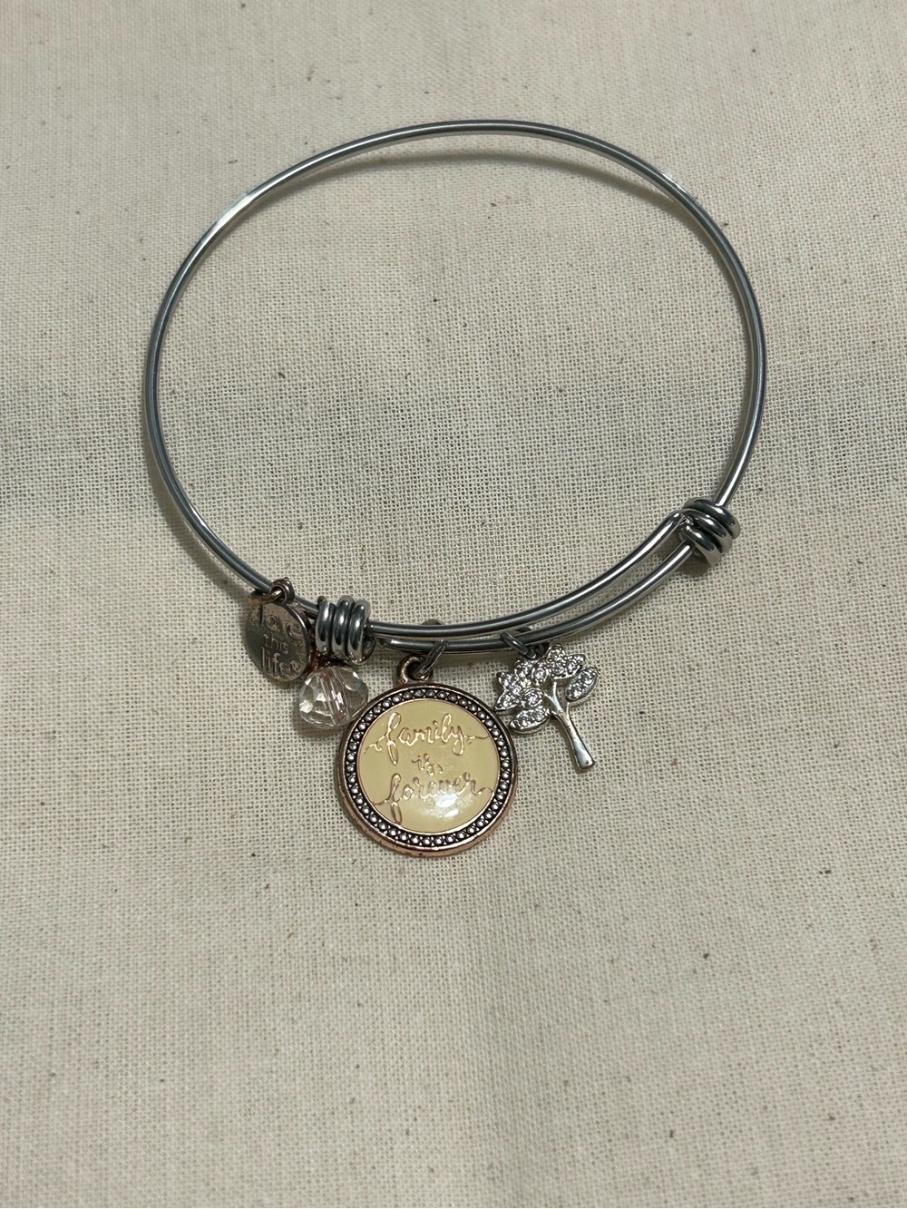 Family is Forever Two-Tone Charm Bangle Bracelet - Silver and Gold